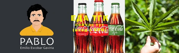 эйфоретик Баксан