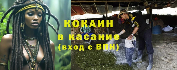 эйфоретик Баксан