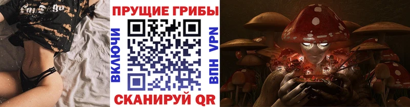 купить наркоту  OMG tor  Галлюциногенные грибы MAGIC MUSHROOMS  Арсеньев 
