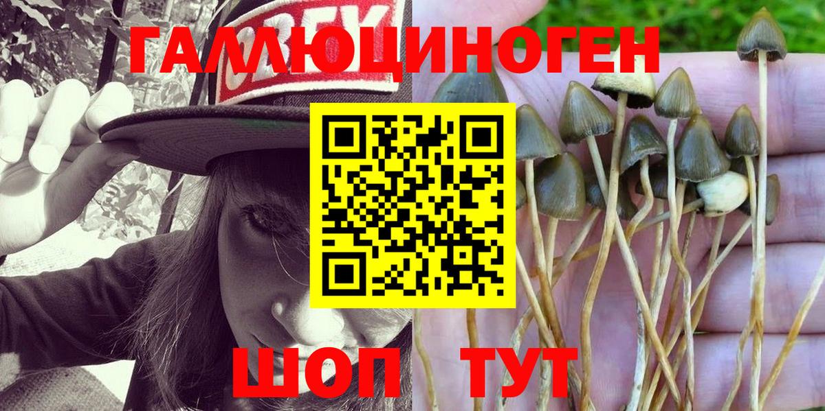 Арсеньев  Псилоцибиновые грибы GOLDEN TEACHER  Вход с VPN 